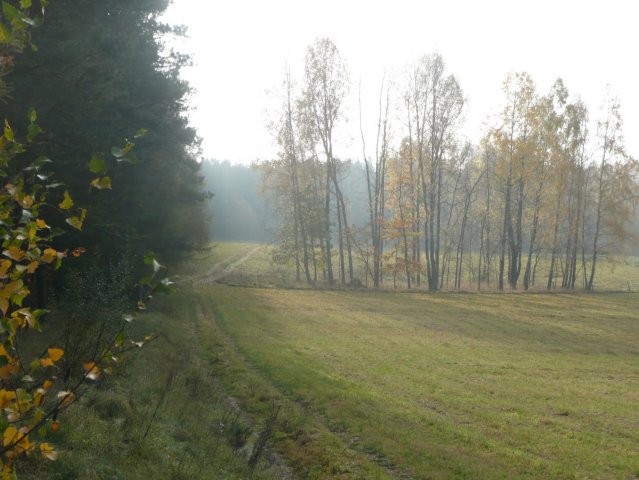 Polowania 26.10.08